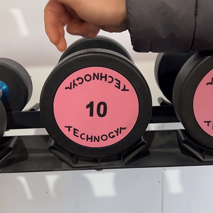 全新纯钢泰诺哑铃10公斤一对粉色