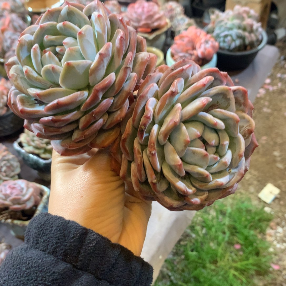 哈哈哈哈哈哈哈哈哈哈哈