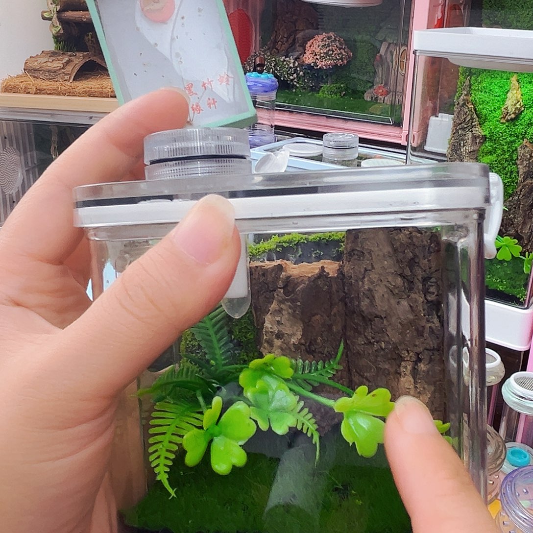 10x10带1个长须天水竹铃