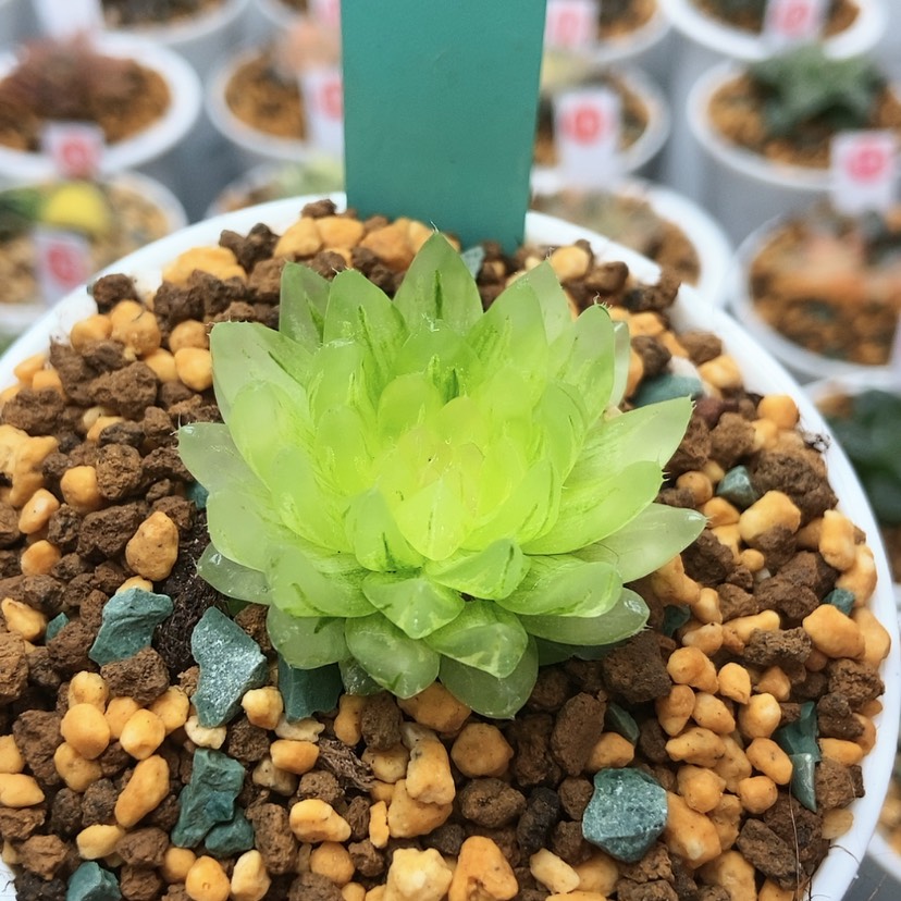 【闪购商品】冰灯冰晶105