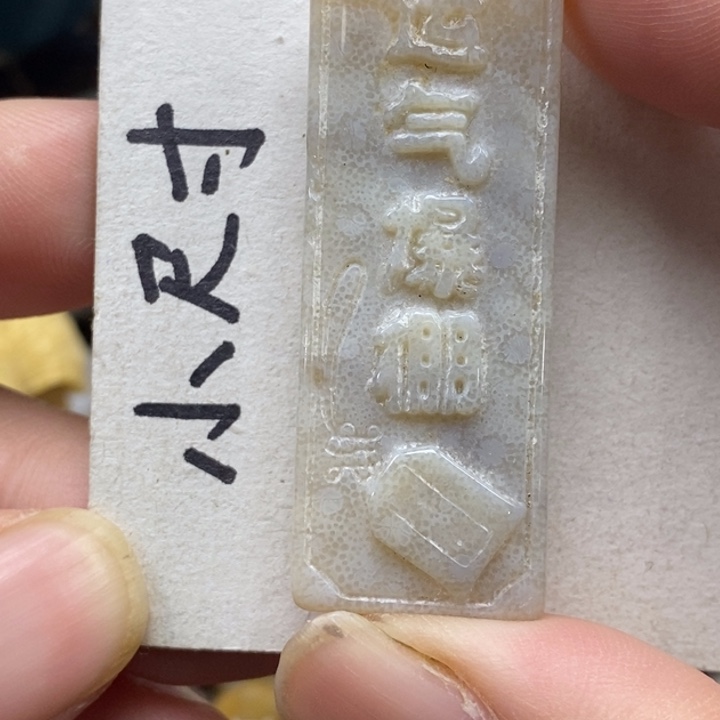硅化珊瑚（珊瑚玉）未镶嵌颈饰