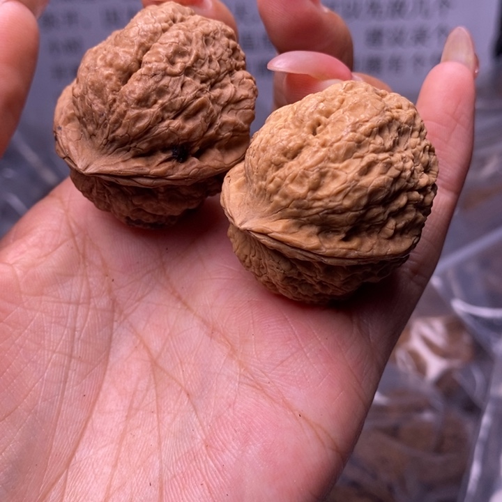 核桃云南野生铁核桃32号38mm