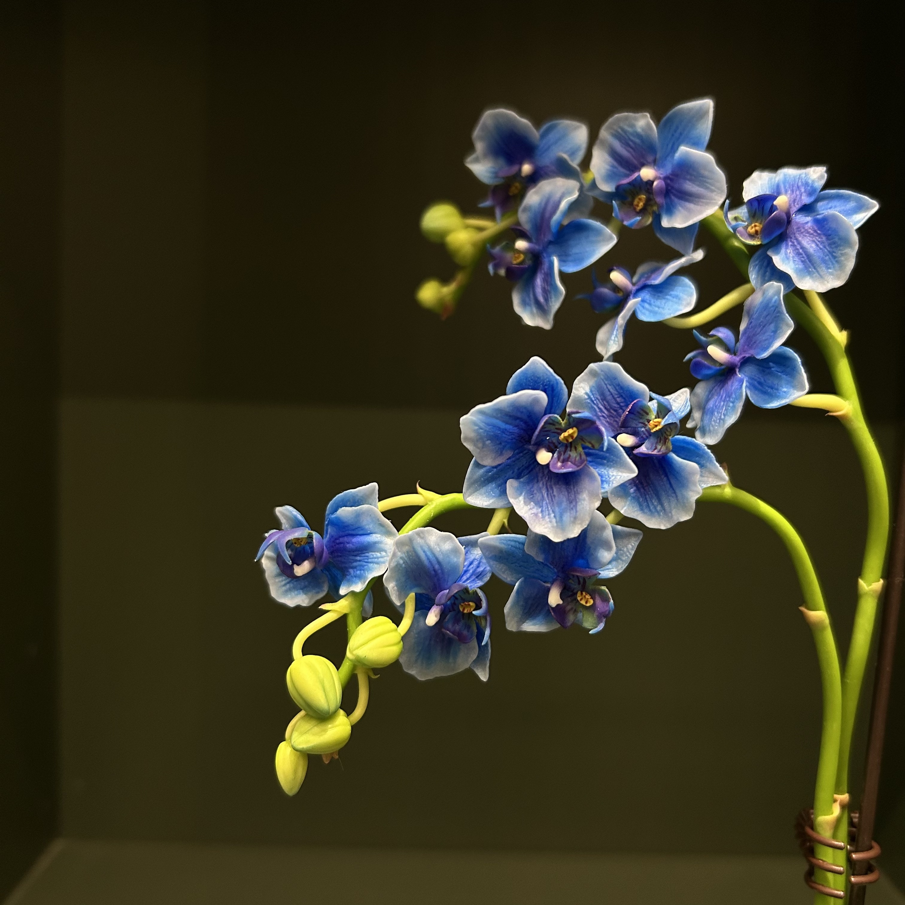 静伊粘土手工花艺课程