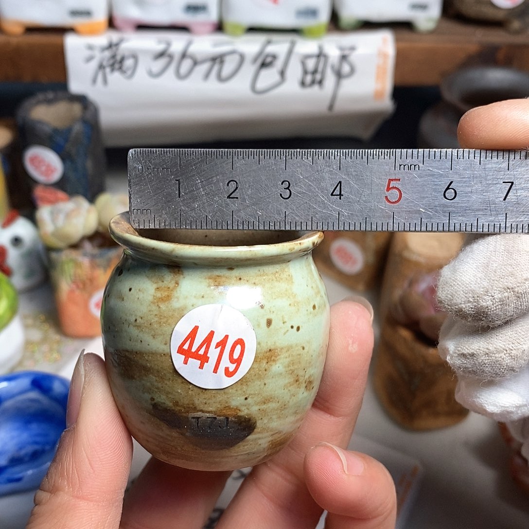 红陶拍5送一个小