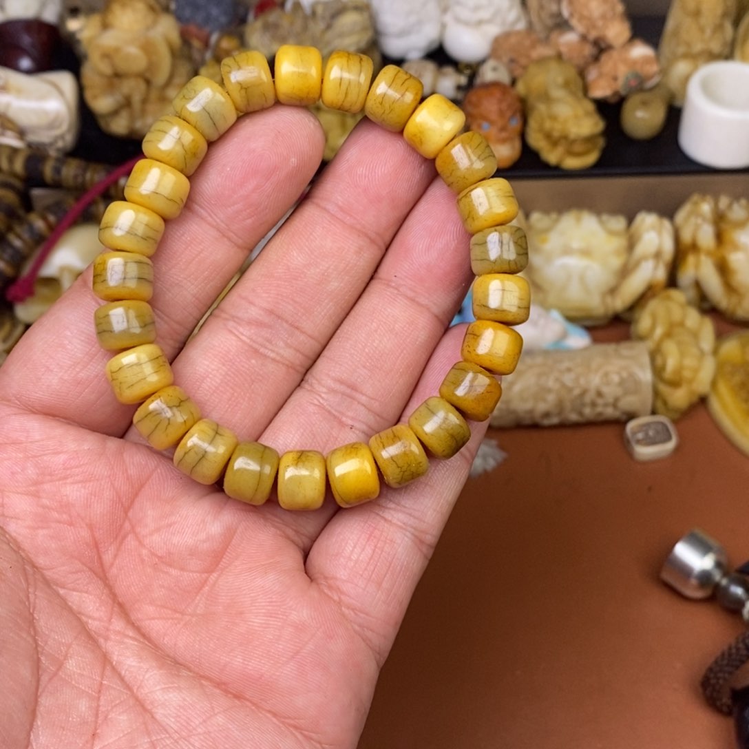 其他驼骨人工样子