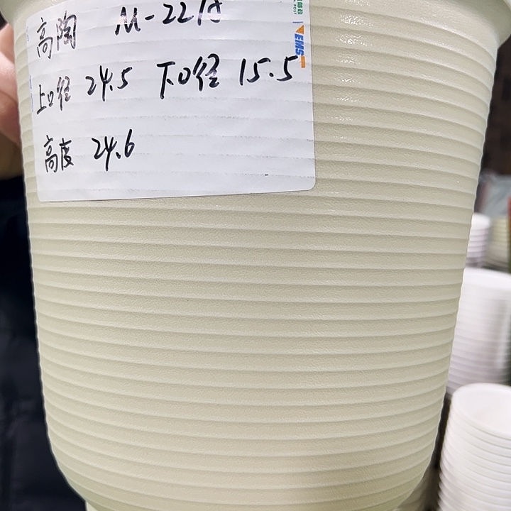 正品高陶口24高24果绿带托5个