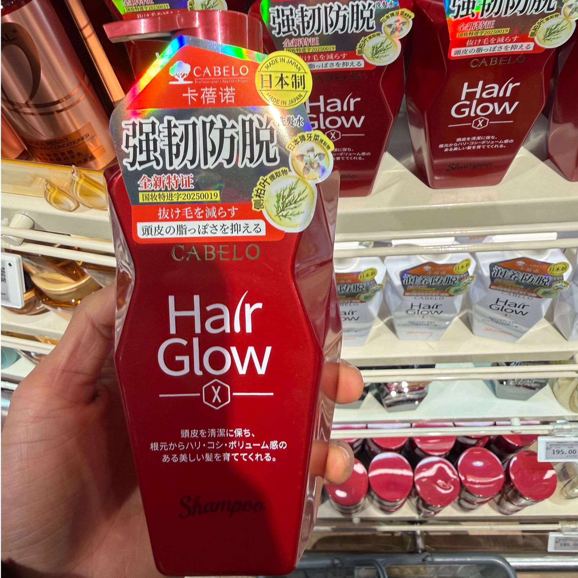 许昌网红超市【正品代购】日本原装卡蓓诺控油洗发水正品保障