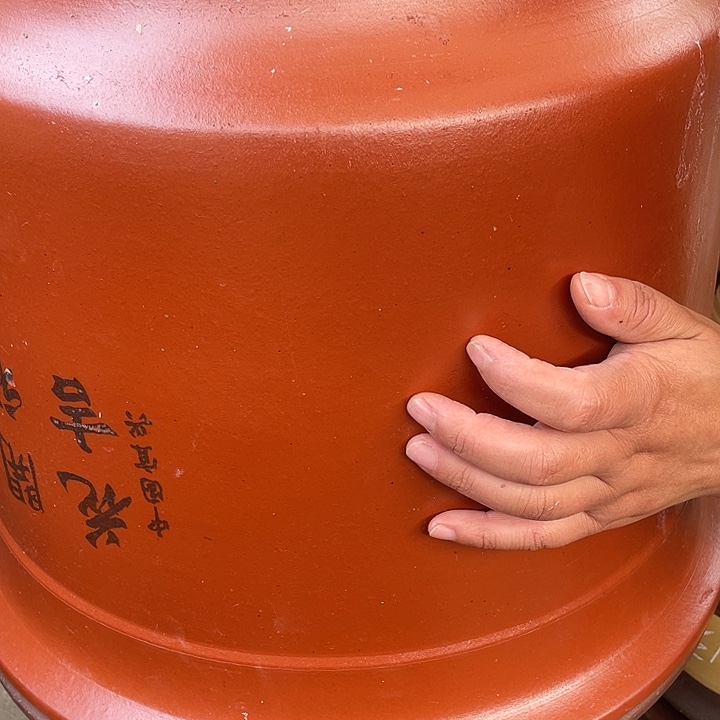 45平海两个花花盆紫砂花盆