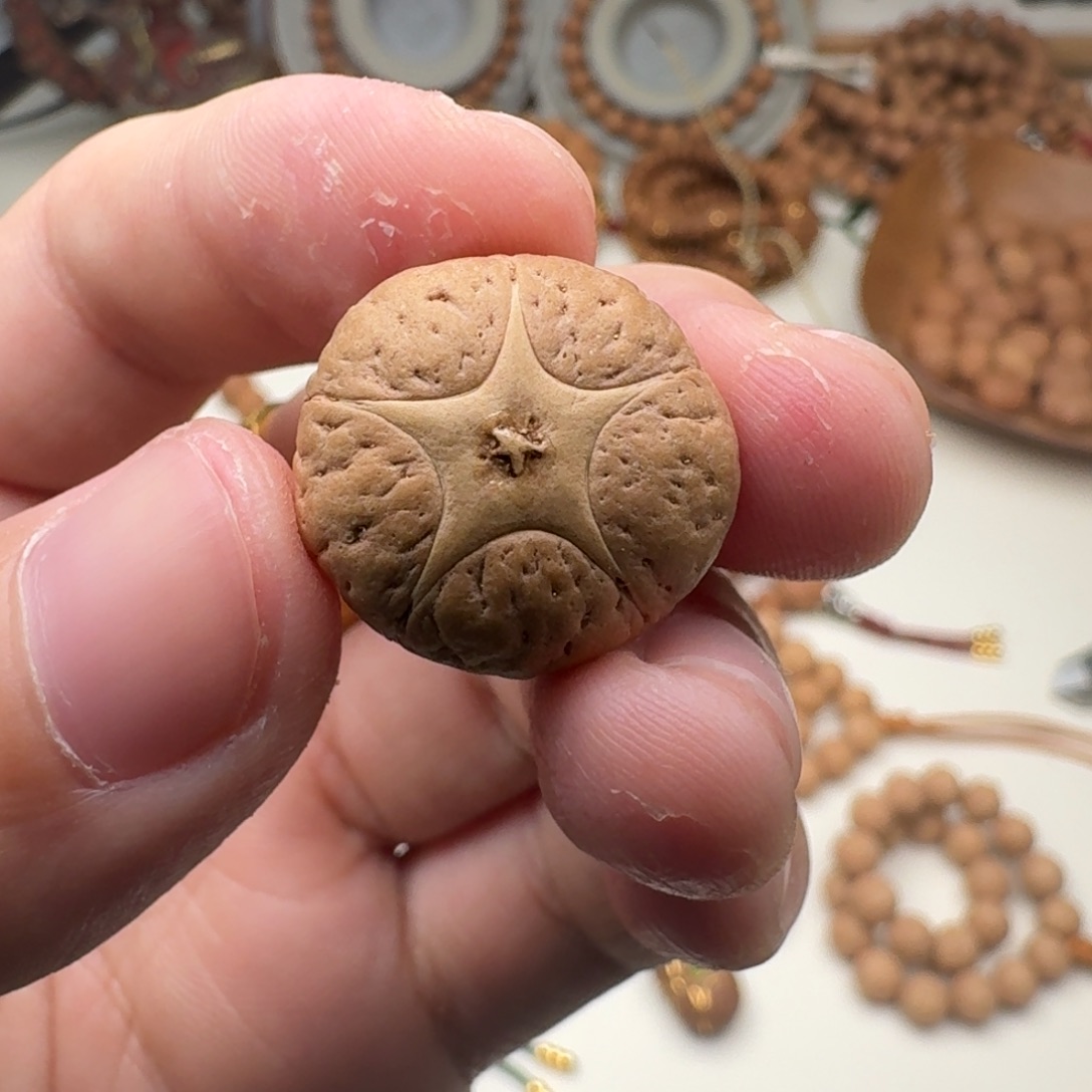 帅***鸭吊坠凤眼菩提五星