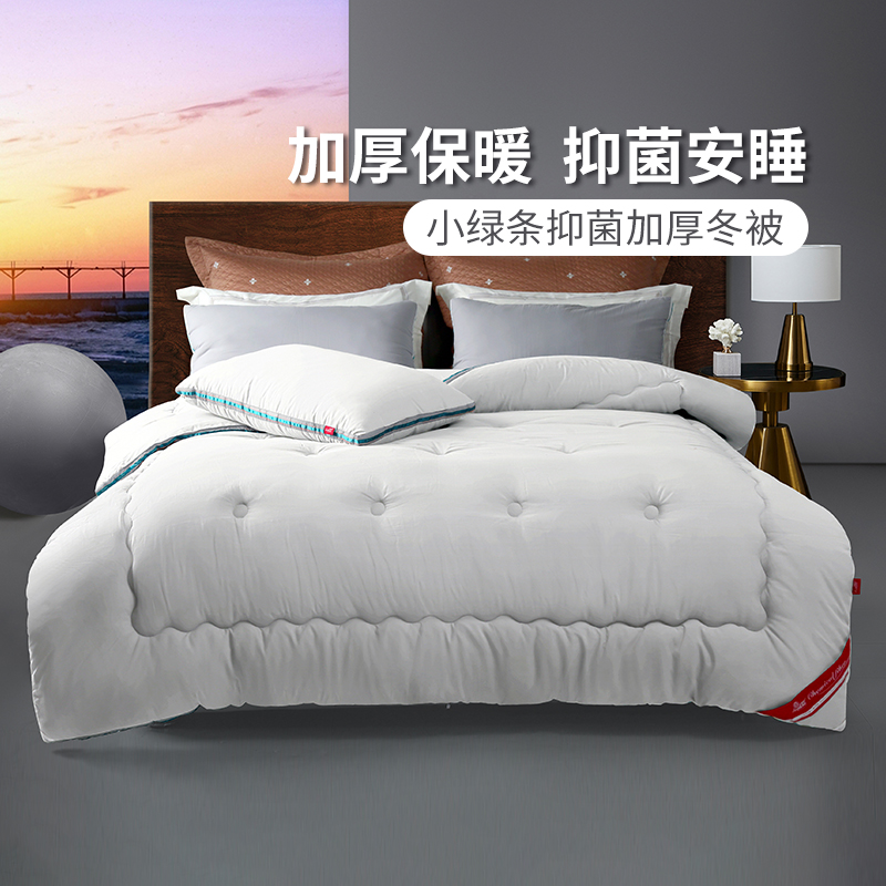 秋冬保暖抑菌加厚秋冬被冬被 黛富妮年底回馈款