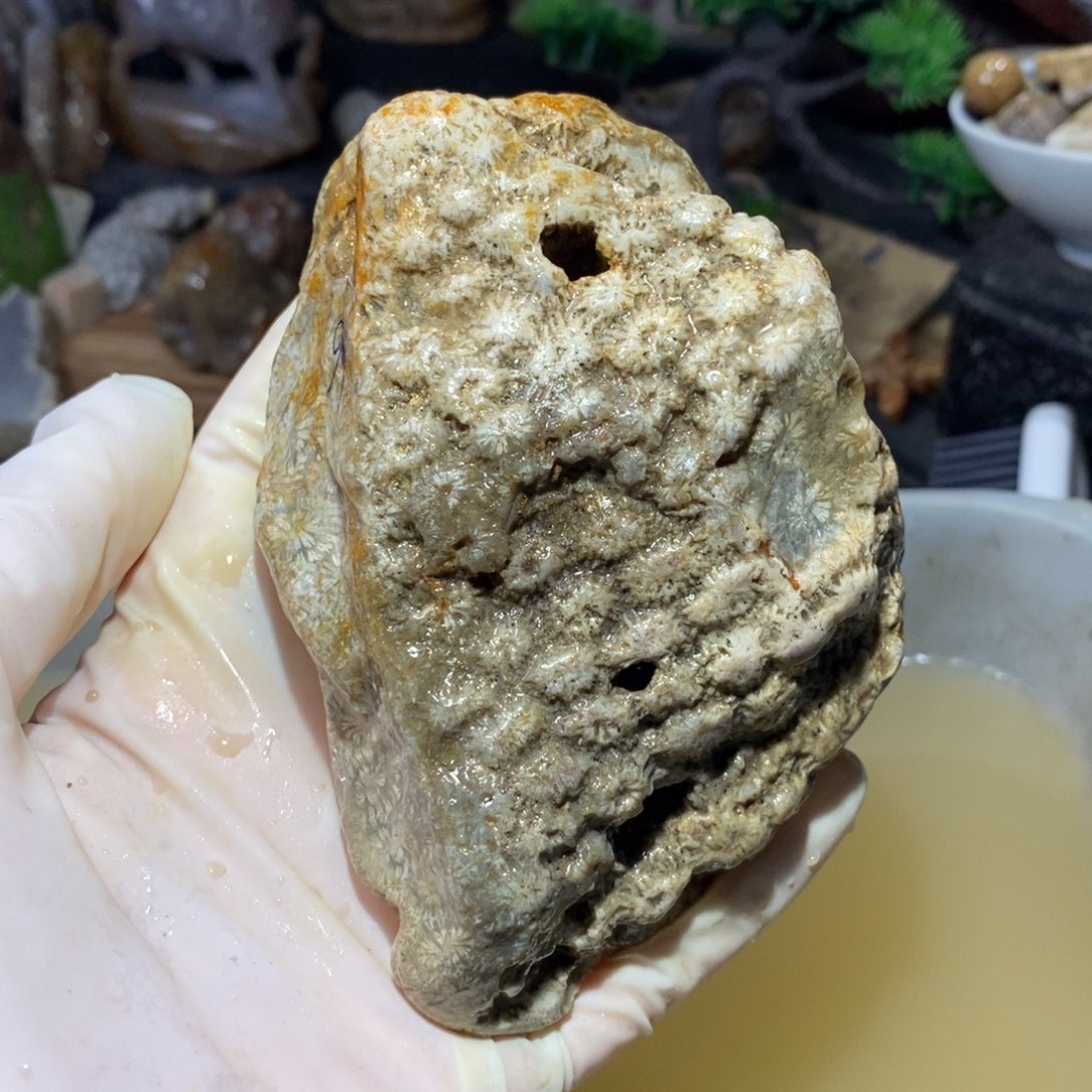 【闪购商品】硅化玉颈饰未镶嵌
