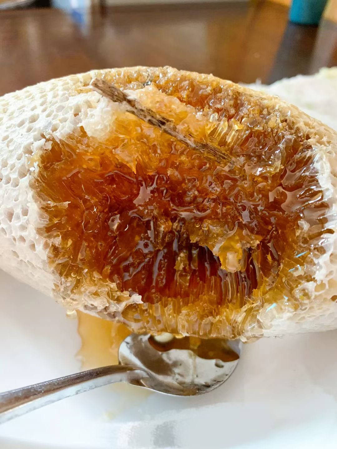 云南野生小蜜蜂汉蜂蜂巢蜜小挂蜜