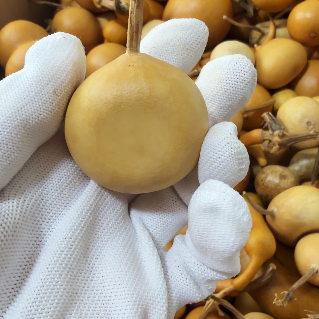 ****拿请确认好在下单 11