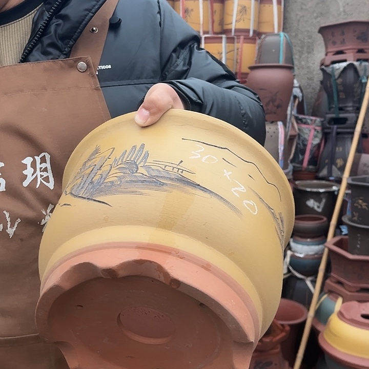 紫砂紫砂花盆盆栽