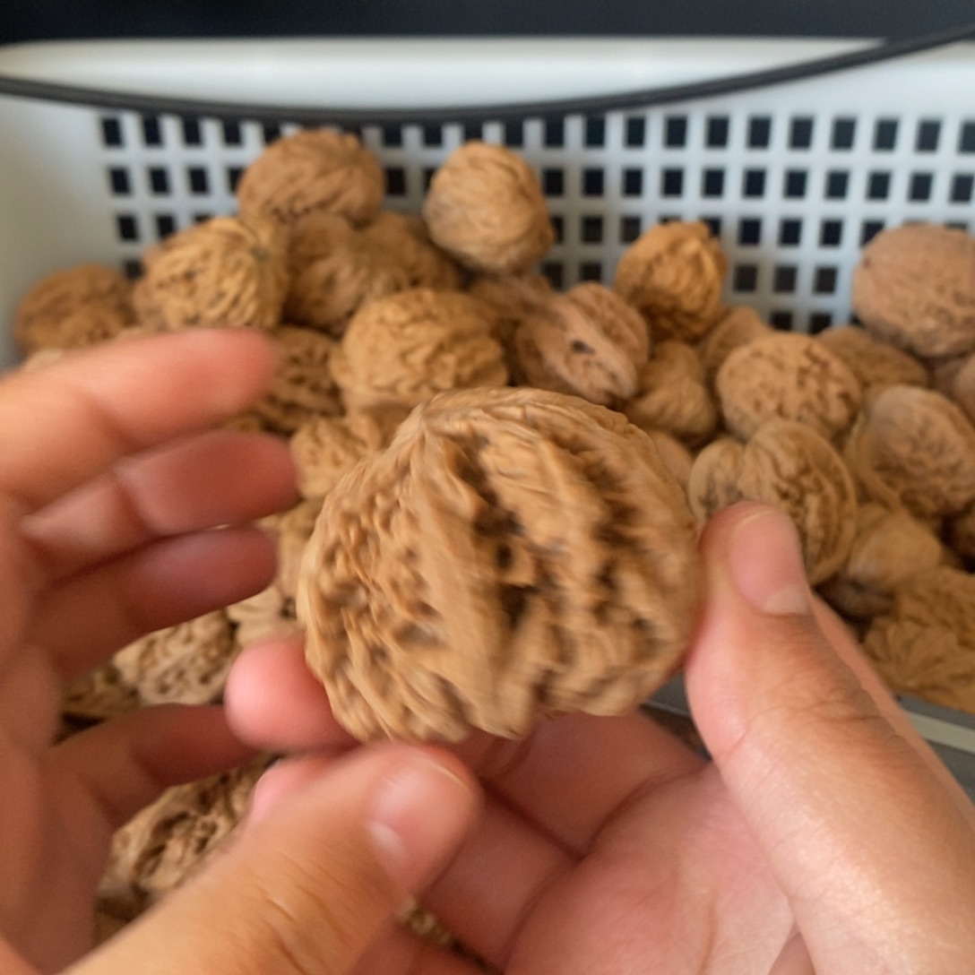 S***n文玩核桃吊坠文玩