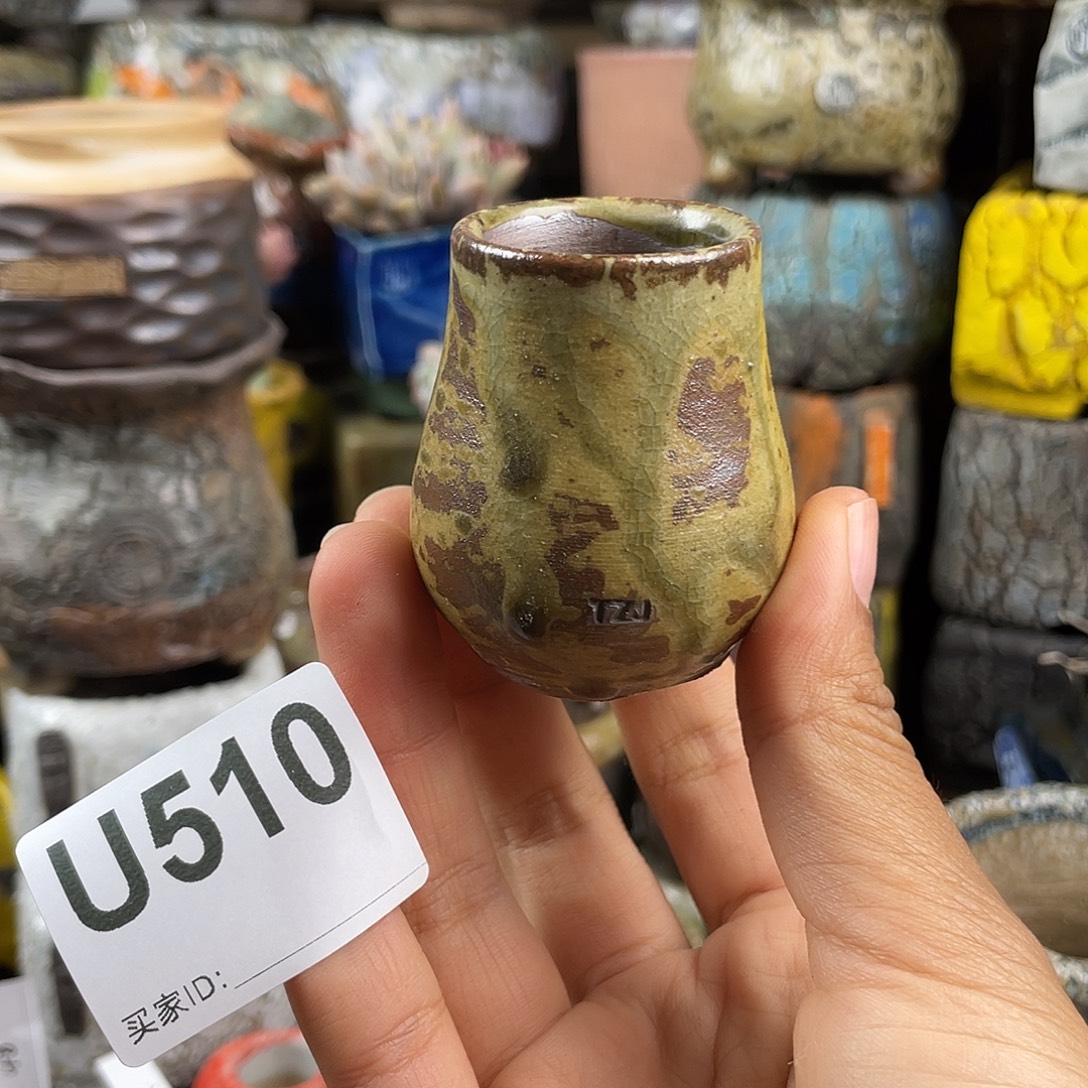 默认微次 元旦福利 坛子姐花盆