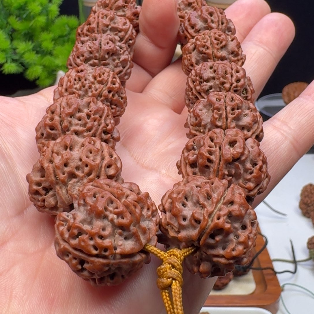 金刚菩提手串粗筋蜂窝双龙