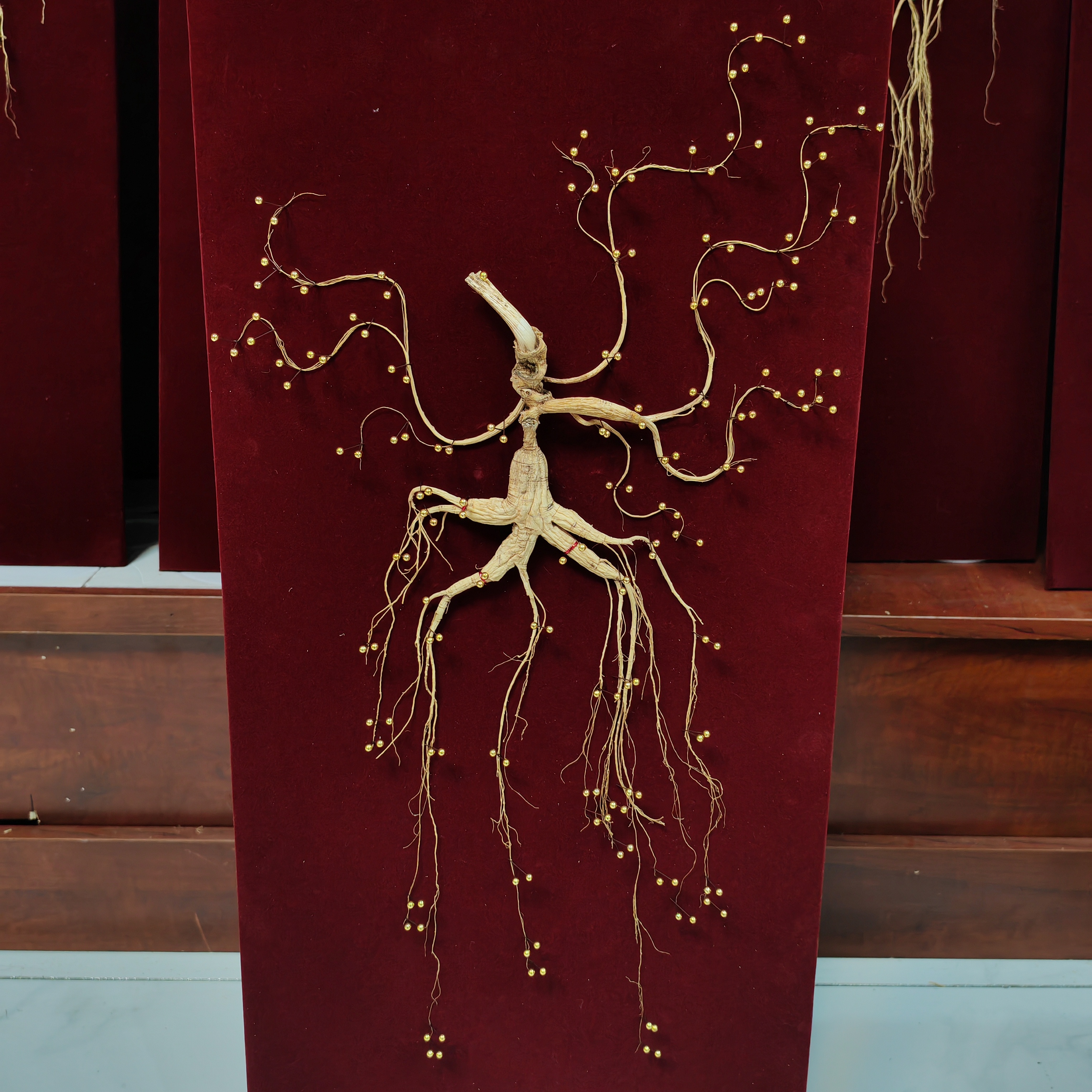 长白山林下参礼盒装适合走亲访友泡酒煲汤滋补佳品