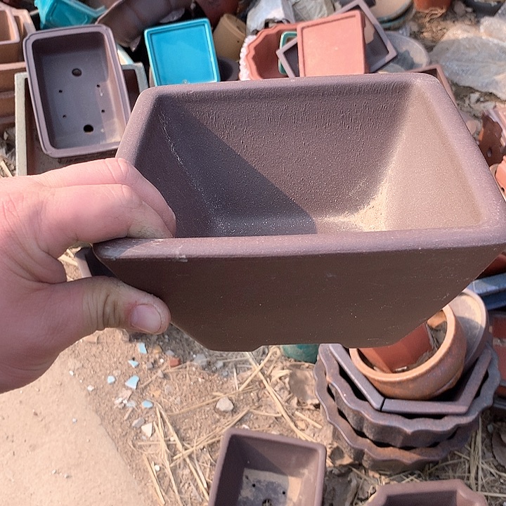 紫砂优秀青年科技人才创新人才