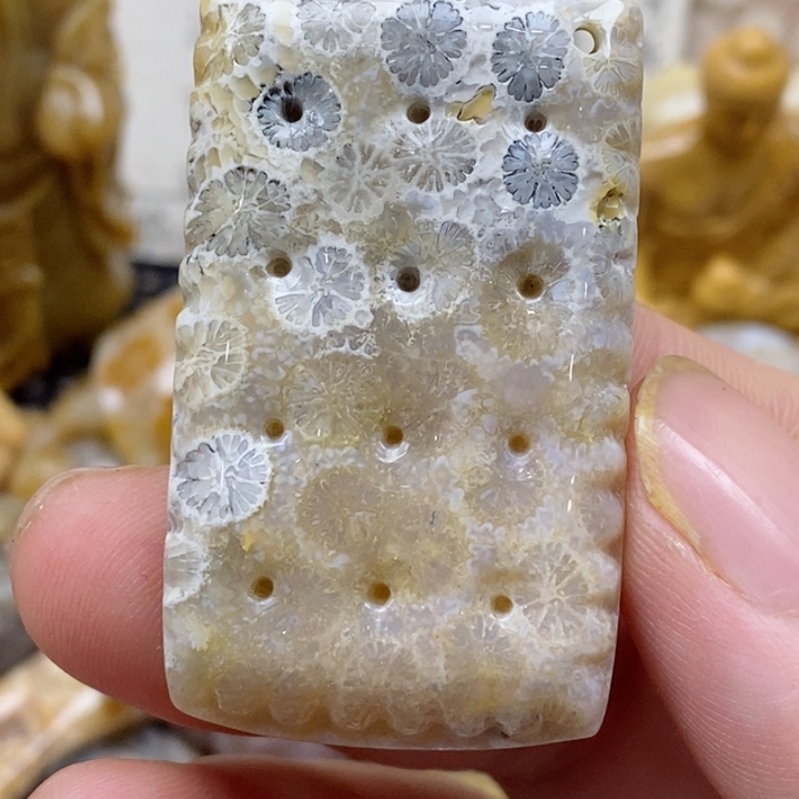 颈饰未镶嵌硅化珊瑚（珊瑚玉）有瑕