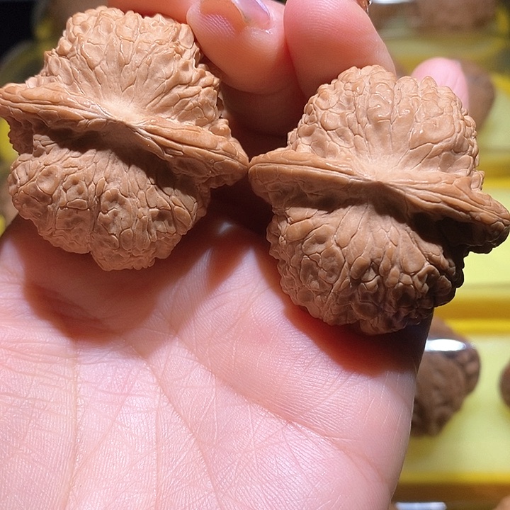 全品的血麒麟42尺寸的