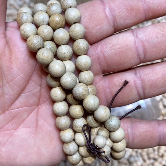 大果紫檀（缅甸花梨）香樟木一条