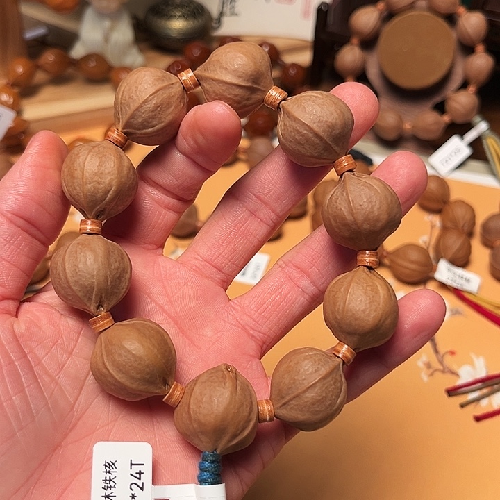 0***02224梅林铁核素串