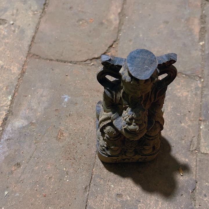 香榧木88888888888888