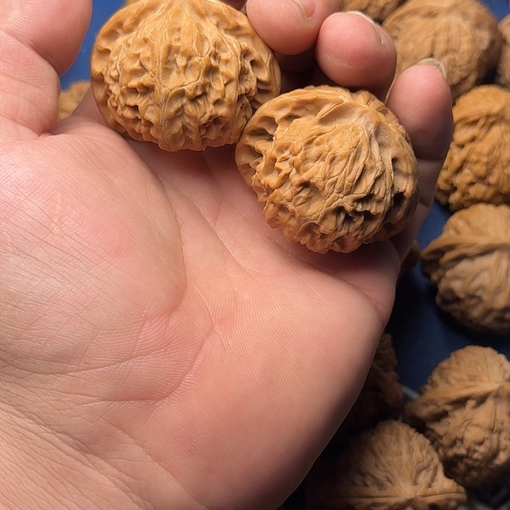 s***f44全品无修宫灯精品对