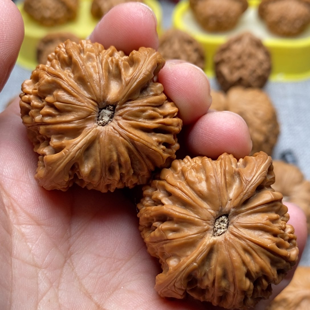 文玩核桃把件41山地磨精品