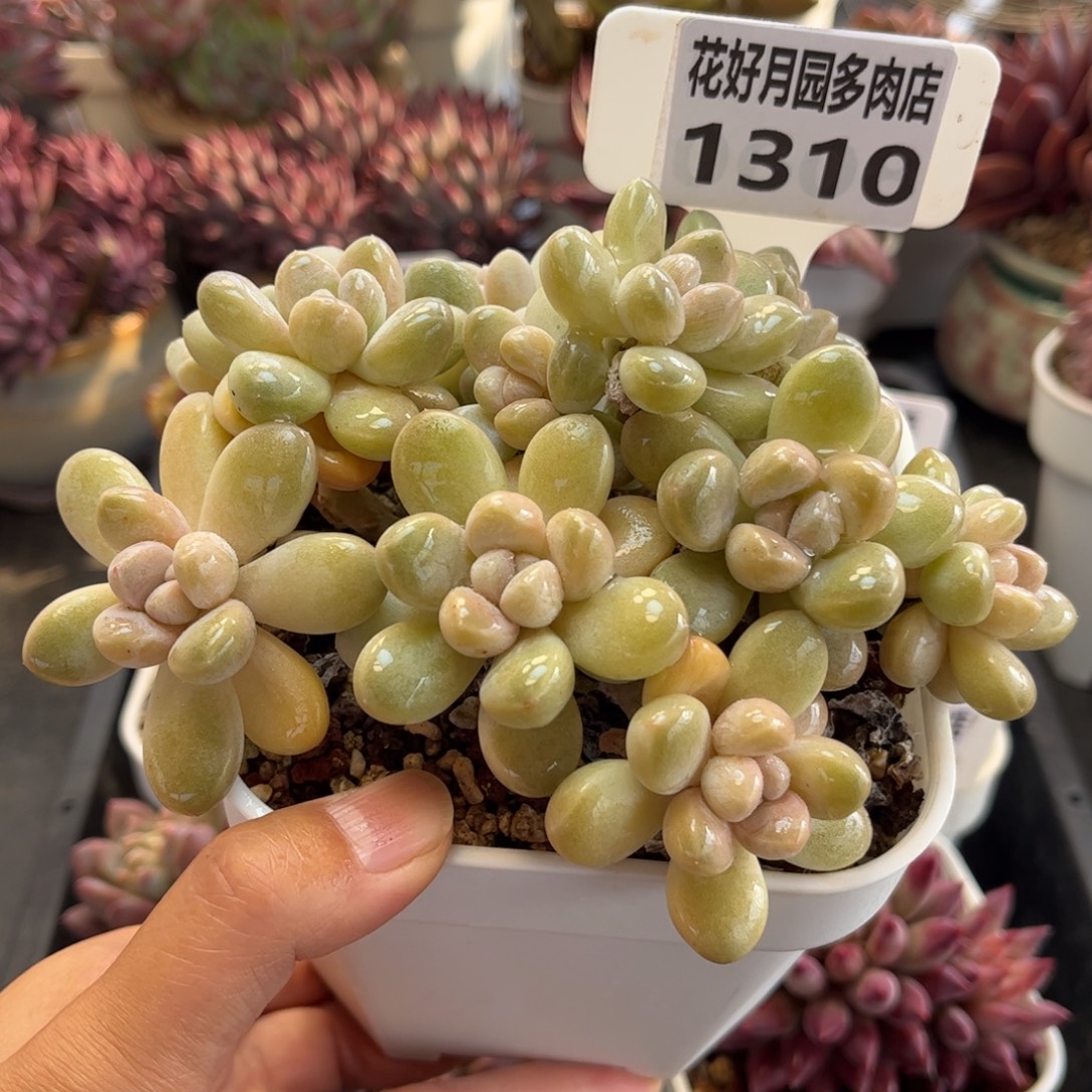 草***甜1310 天冷必拍保温箱