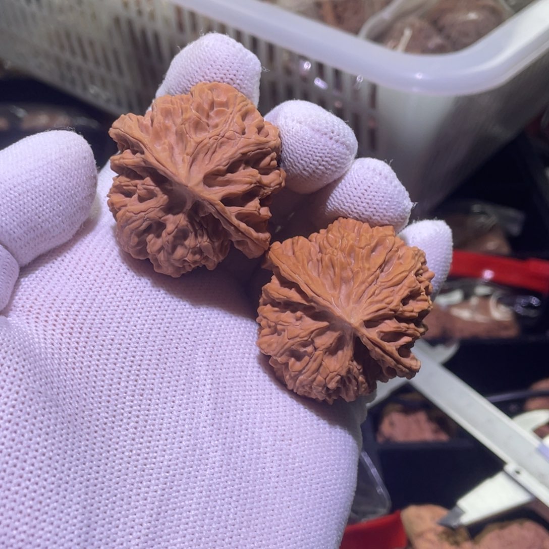 文玩核桃把件苹果园 556