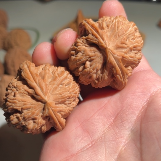 高***库文玩核桃吊坠41白狮子