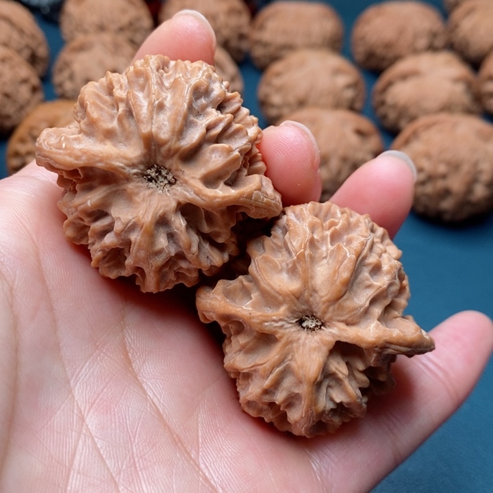 文玩核桃把件41苹果园