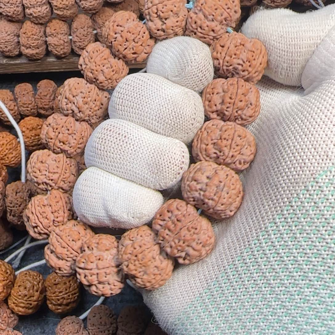 菩提金刚菩提21夹板