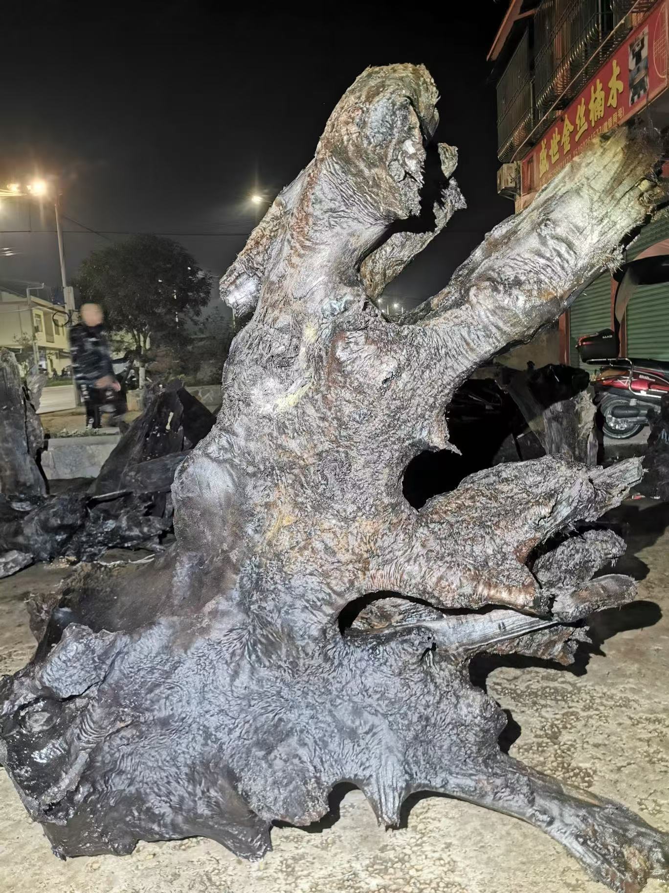 阴沉金丝楠木小叶桢楠原料