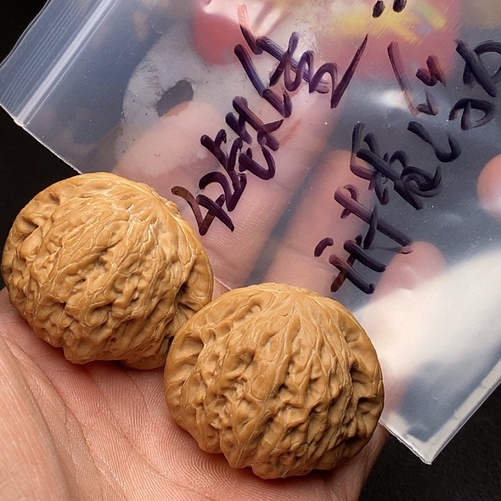 【闪购商品】文玩核桃把件铁锤