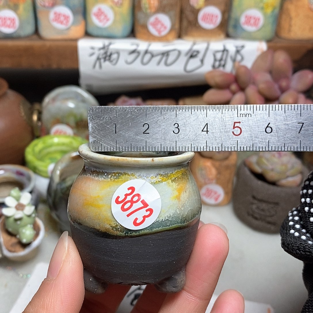 红陶拍5送一个小