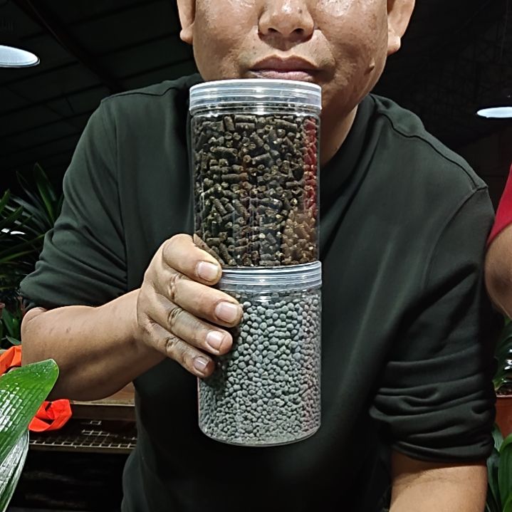 无花朵一固一矿22