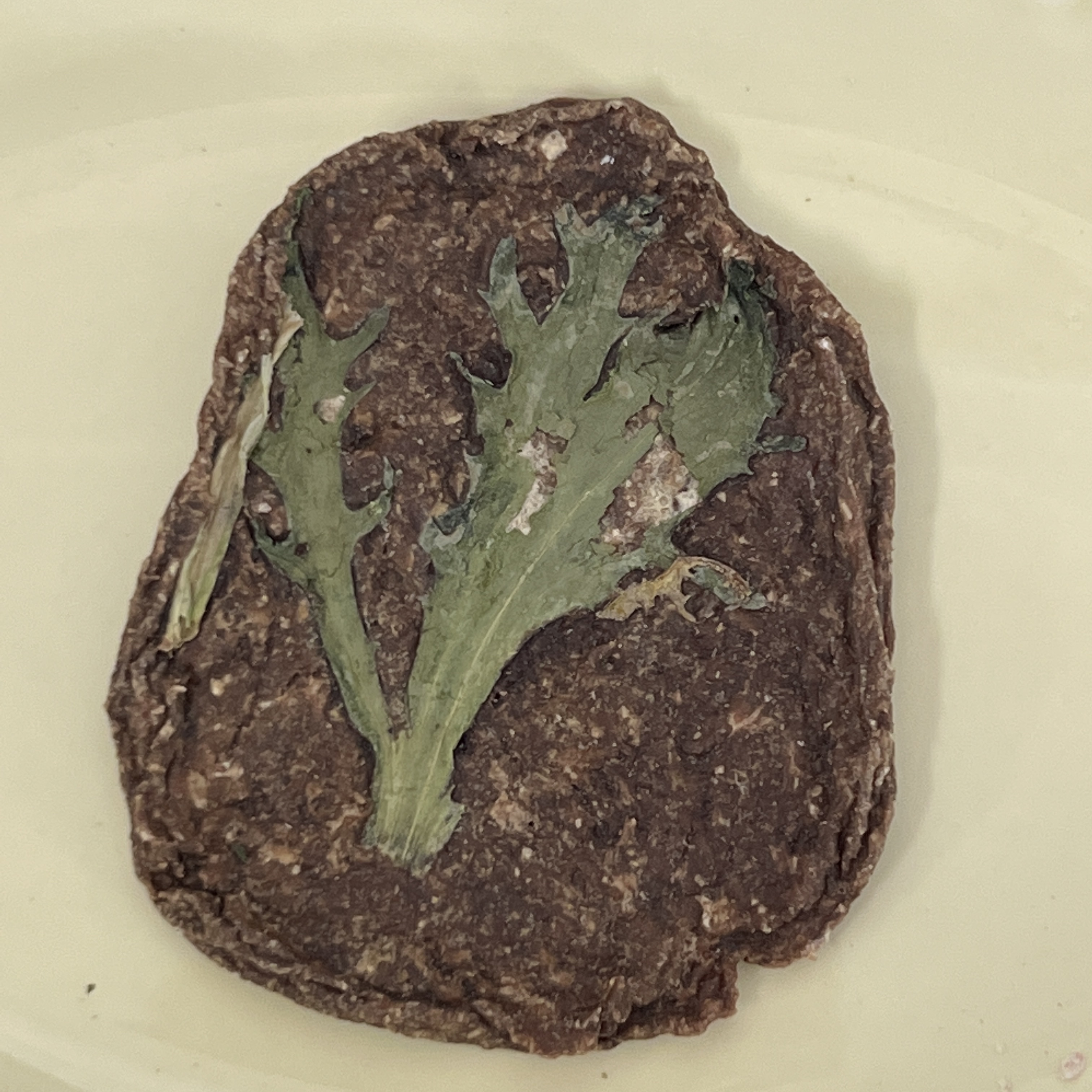 鸭肉苦菊片（狗狗磨牙）