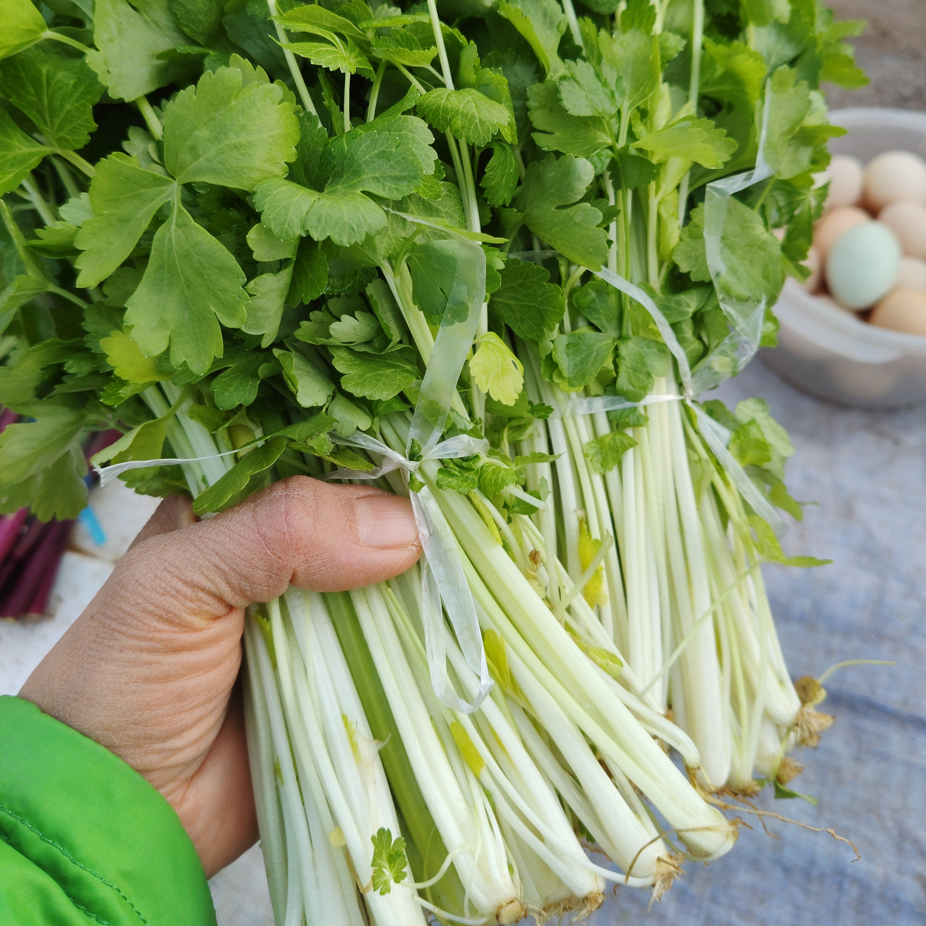 农家种植香芹菜，肉质细嫩，现摘现发