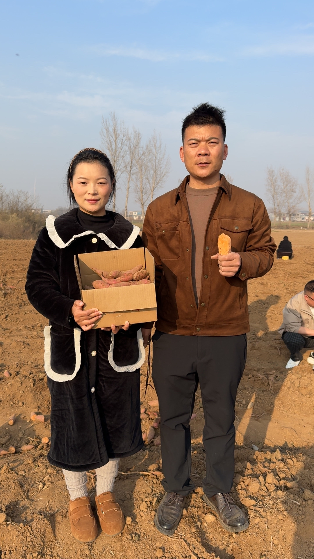 （小果西瓜红蜜薯）西瓜红蜜薯现挖糖心正宗红心家庭烤红薯专用