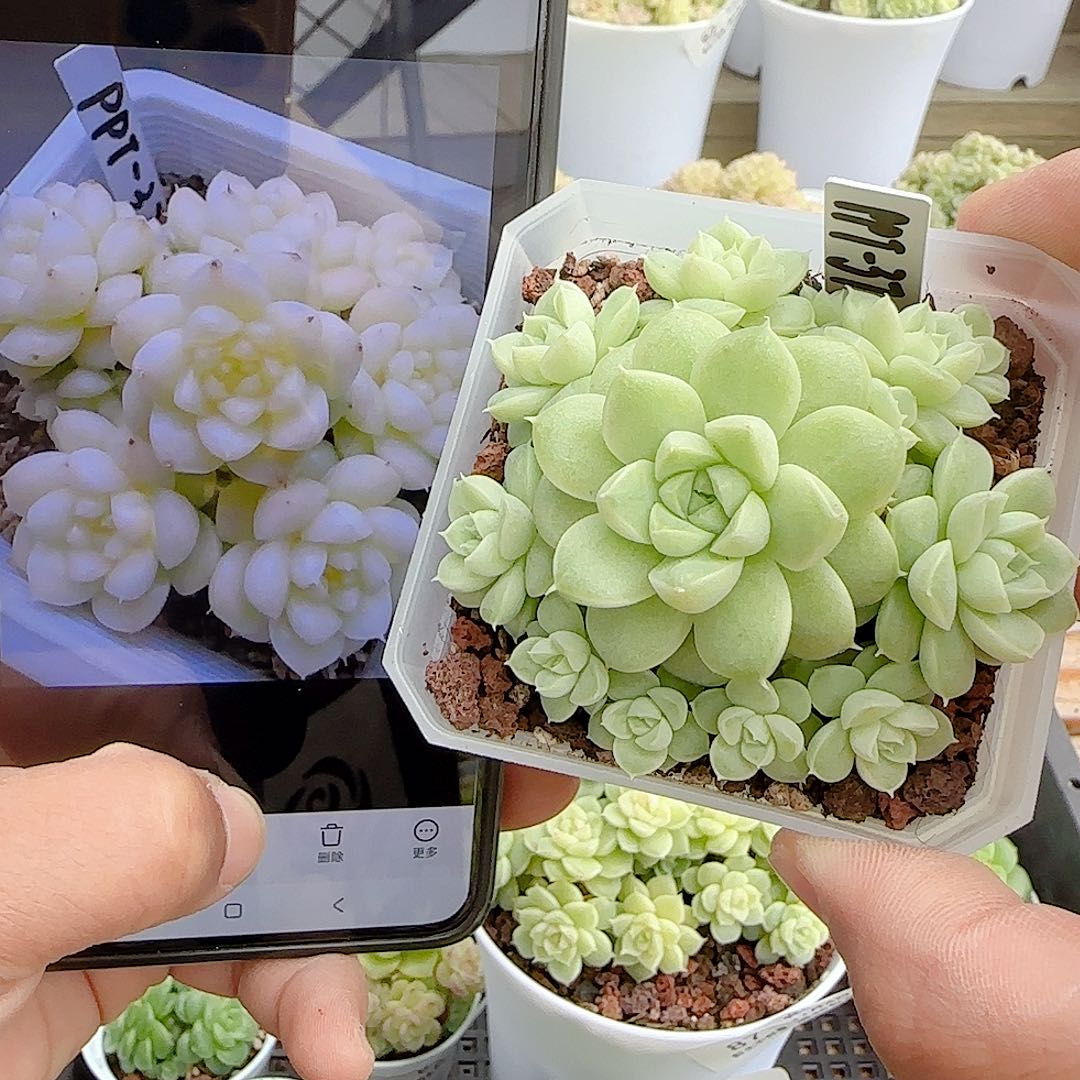 咩***ɞ1104-93（ppt-37）优选