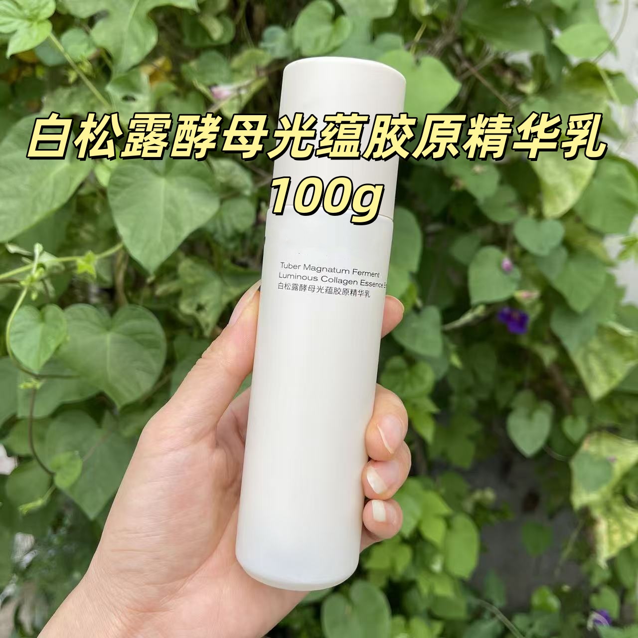 白松露酵母光蕴胶原精华乳 100g