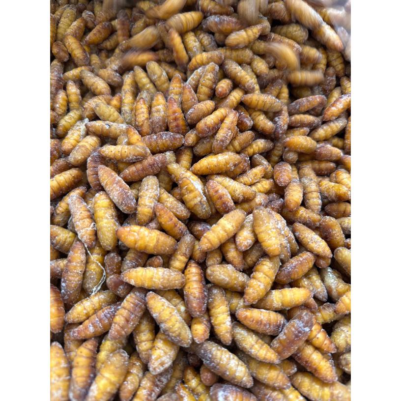 顺丰包邮新鲜速冻金丝蚕蛹山东蛹美味下酒菜高蛋白生鲜