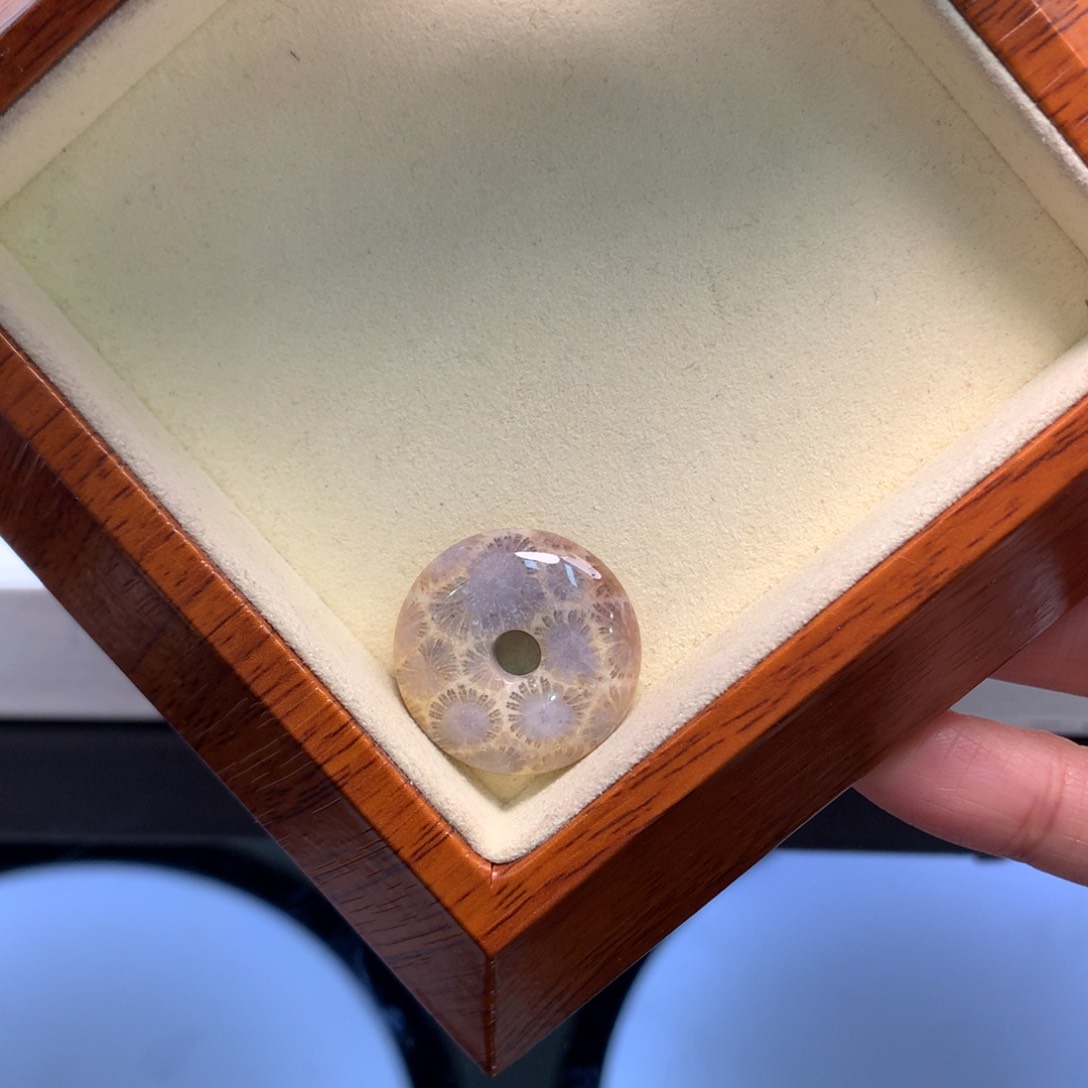 硅化珊瑚（珊瑚玉）颈饰未镶嵌