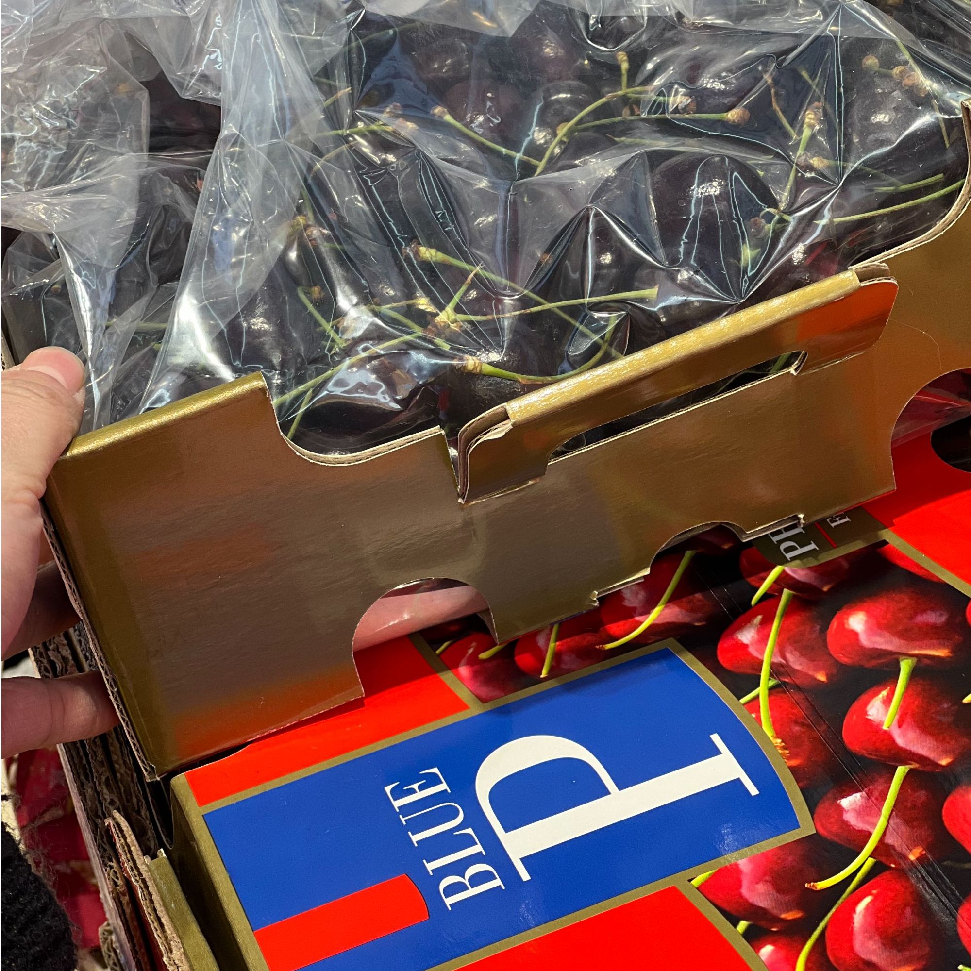 蓝P【5斤】双JD科迪亚车厘子