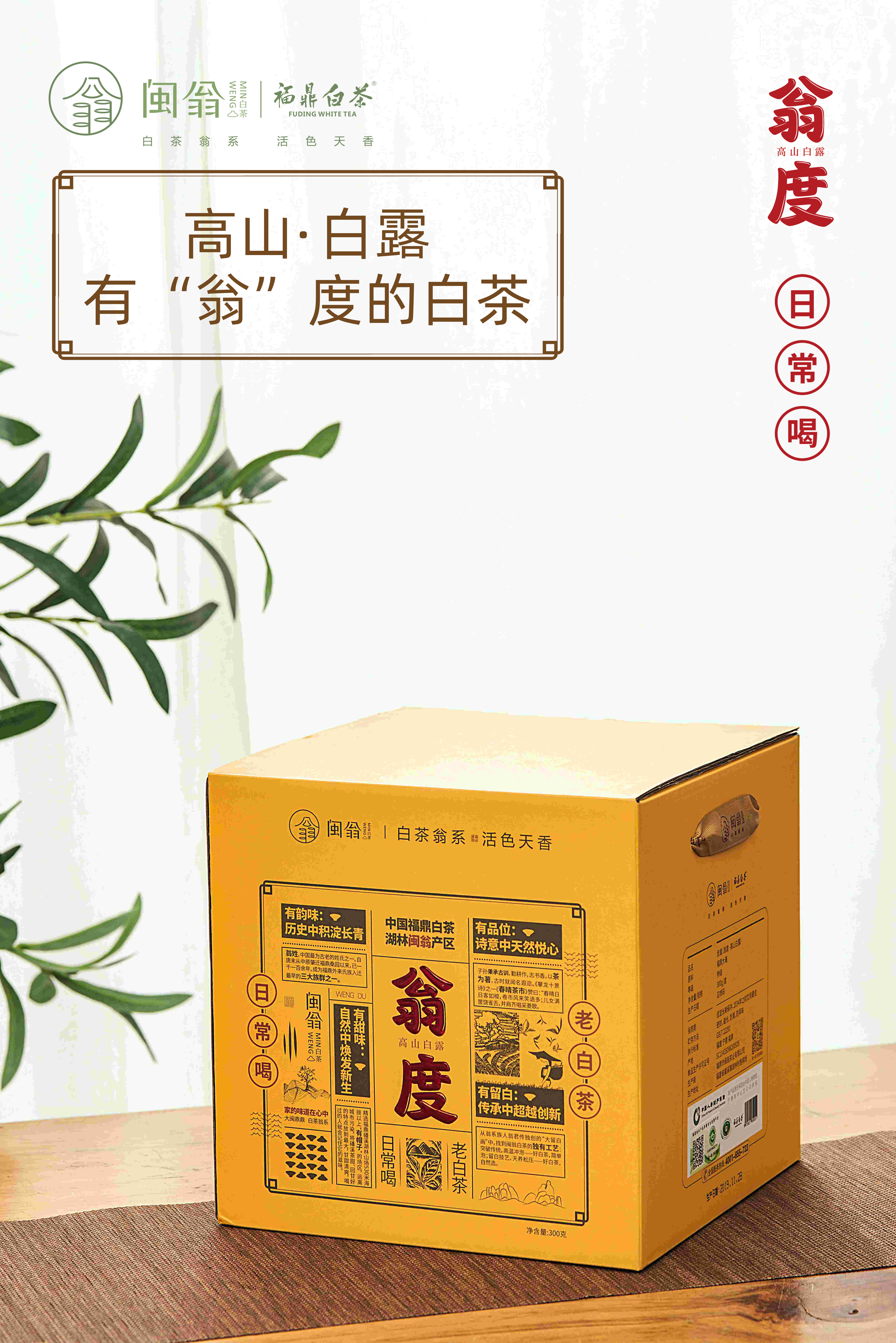 MINWENG/闽翁福鼎白茶磻溪翁度系列高山白露贡眉300g