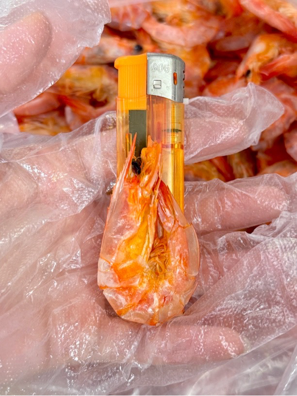 汕尾本港大号海虾干无盐无添加海鲜零食干货