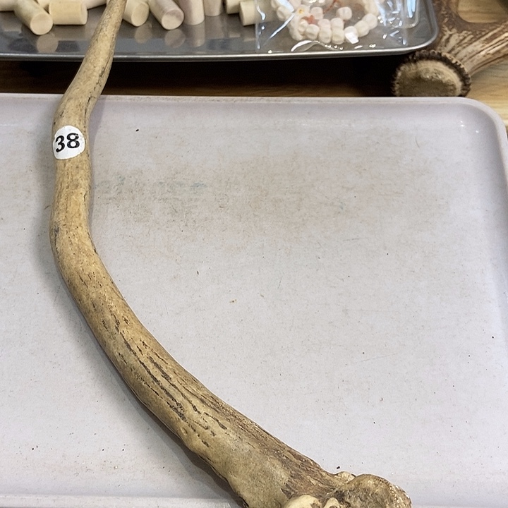 黑***子中国大陆鹿角盘玩手把件